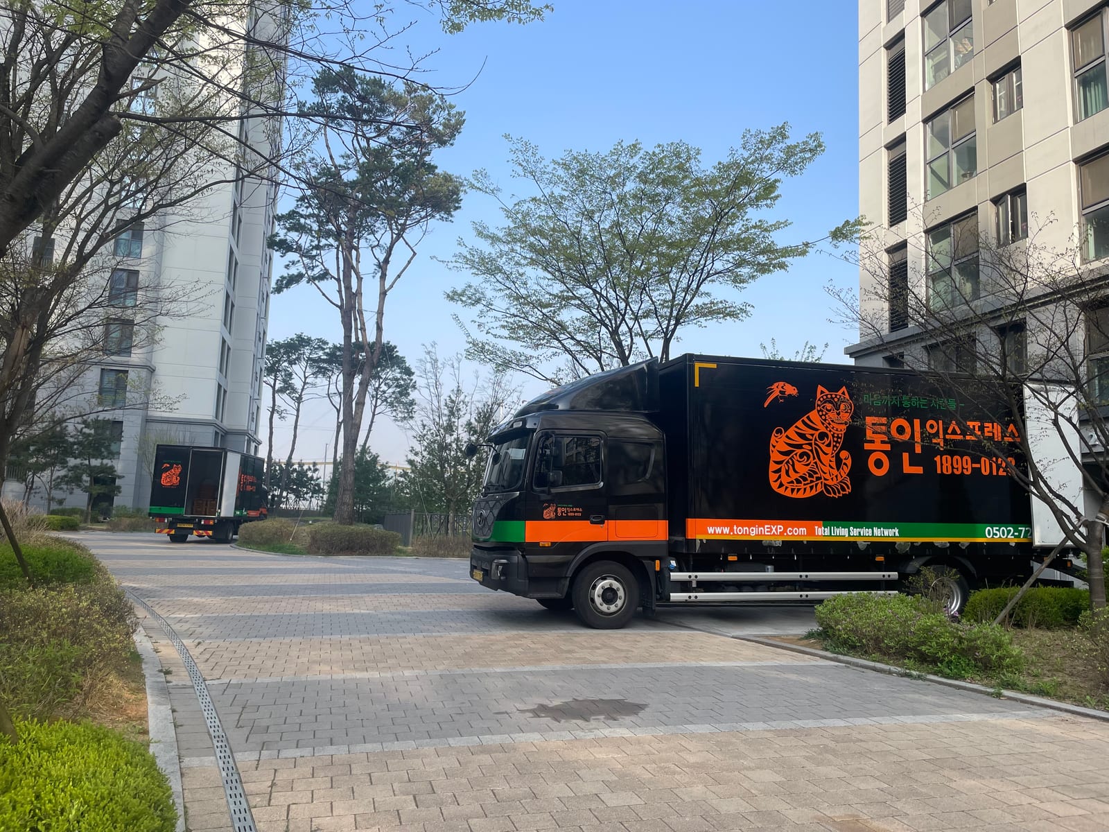 날쌘 바람 불가사리 후기 사진 1