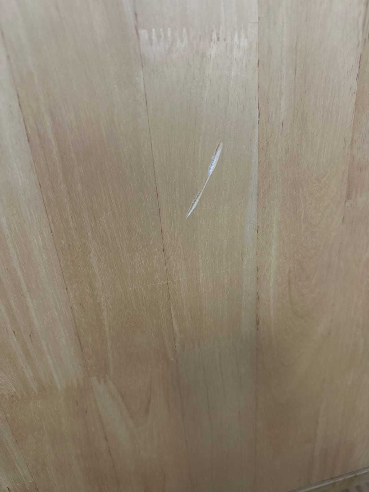 흐뭇한 반딧불 펭귄 후기 사진 1