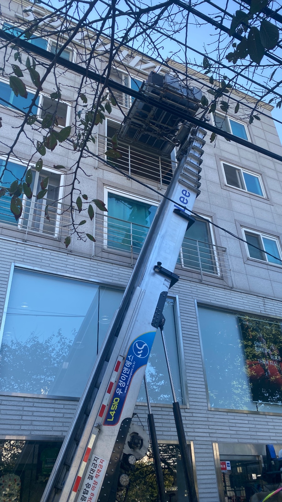 상쾌한 등대 너구리 후기 사진 2