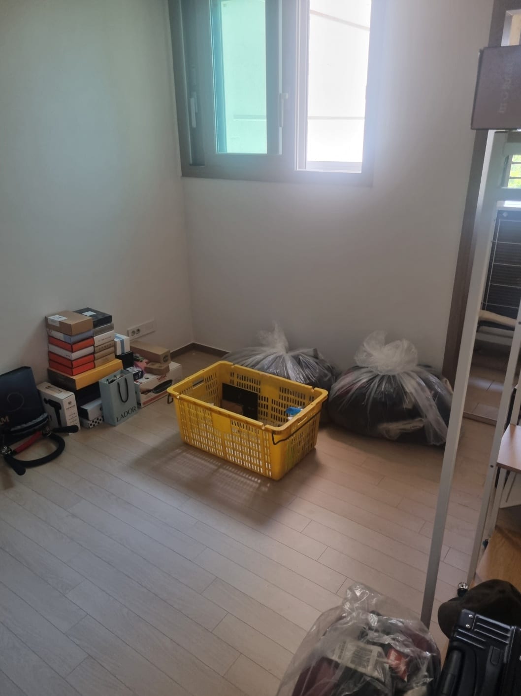 가뿐한 풍차 고슴도치 후기 사진 1