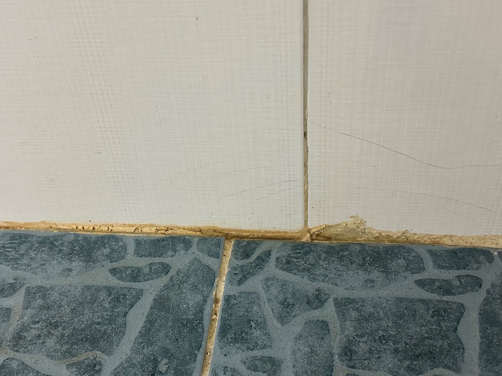 야무진 산들 까치 후기 사진 3