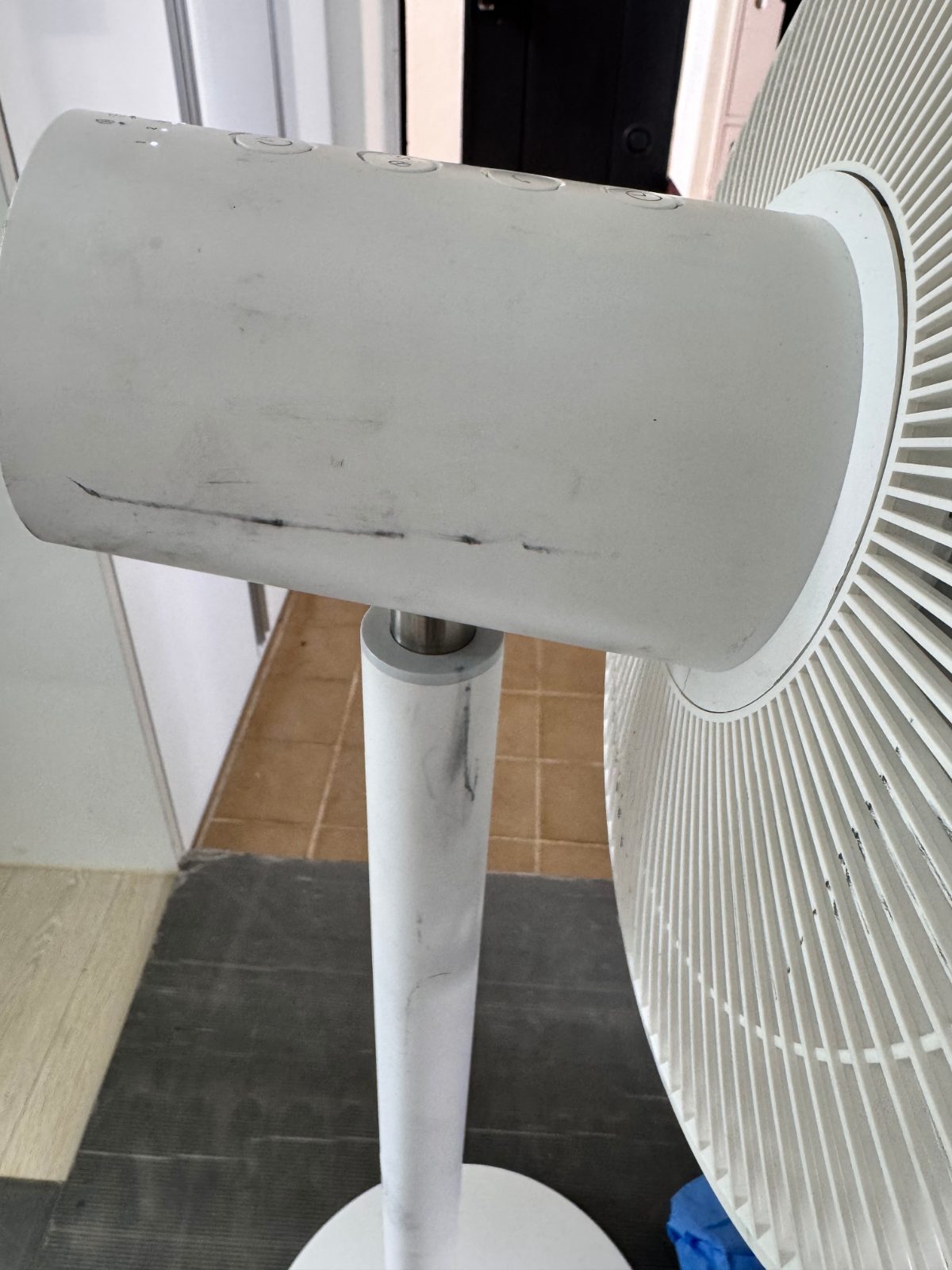 슬기로운 노을 사자 후기 사진 3