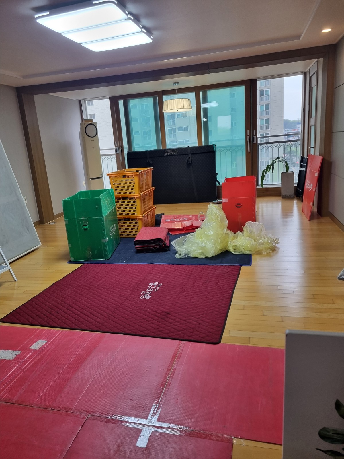박연화 후기 사진 6
